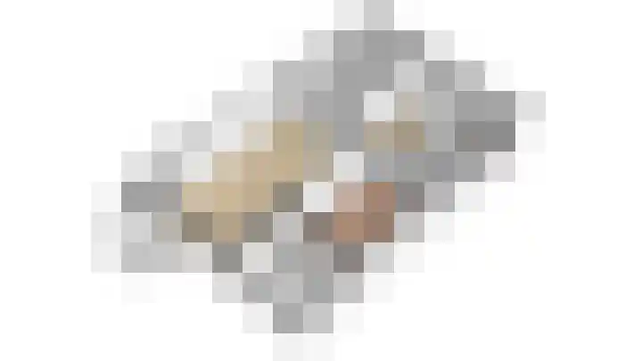 Barmsijs 14 Nieuwegein thumbnail 34