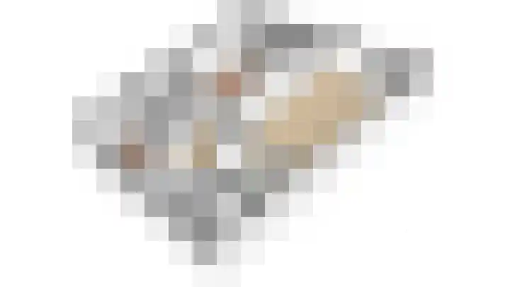 Barmsijs 14 Nieuwegein thumbnail 35