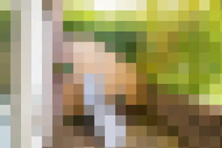 Barmsijs 14 Nieuwegein thumbnail 4