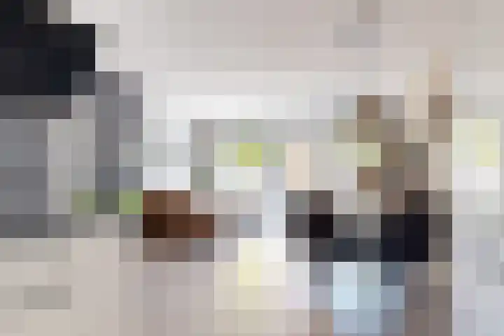 Barmsijs 23 Nieuwegein thumbnail 10