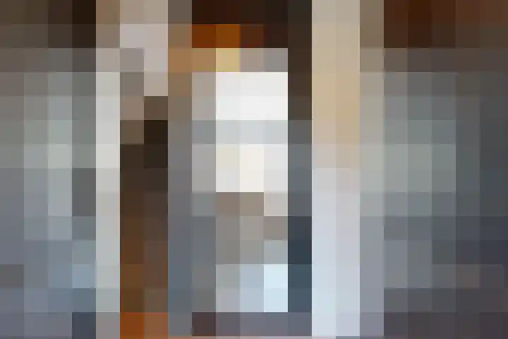Barmsijs 23 Nieuwegein thumbnail 12