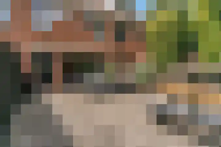 Barmsijs 23 Nieuwegein thumbnail 14