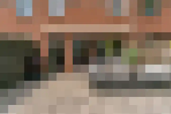Barmsijs 23 Nieuwegein thumbnail 15