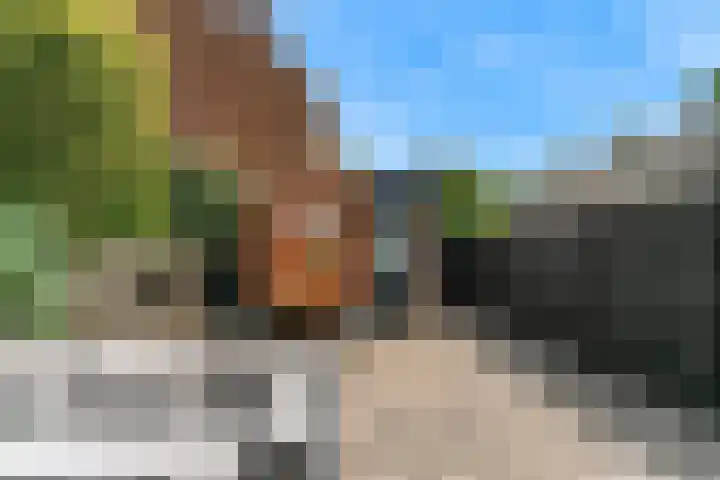 Barmsijs 23 Nieuwegein thumbnail 16