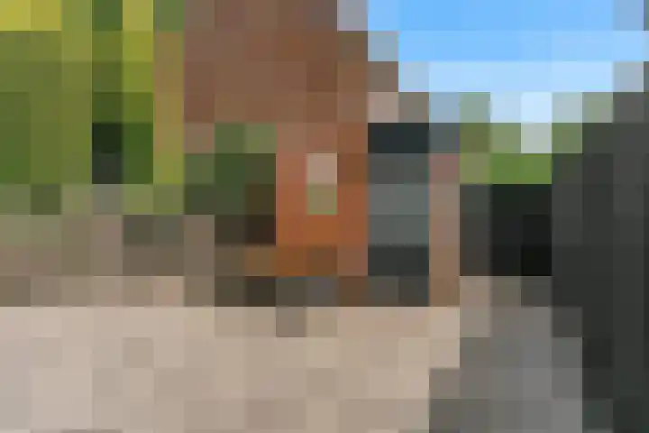 Barmsijs 23 Nieuwegein thumbnail 17