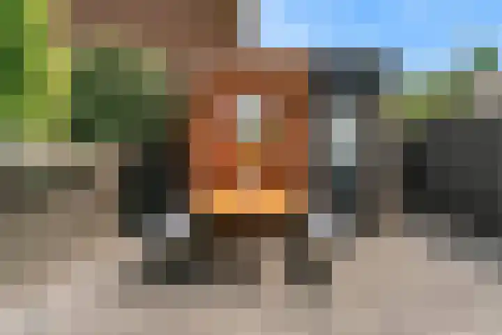 Barmsijs 23 Nieuwegein thumbnail 18