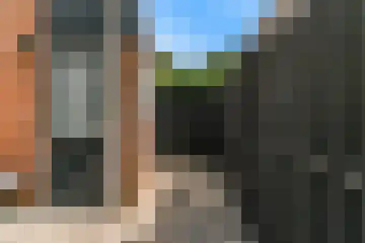 Barmsijs 23 Nieuwegein thumbnail 19