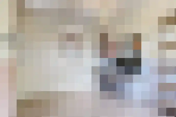 Barmsijs 23 Nieuwegein thumbnail 29