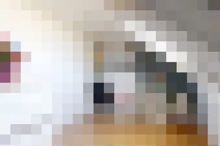 Barmsijs 23 Nieuwegein thumbnail 30