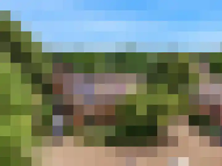 Barmsijs 23 Nieuwegein thumbnail 34