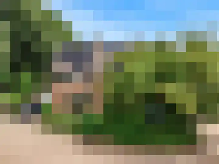 Barmsijs 23 Nieuwegein thumbnail 35