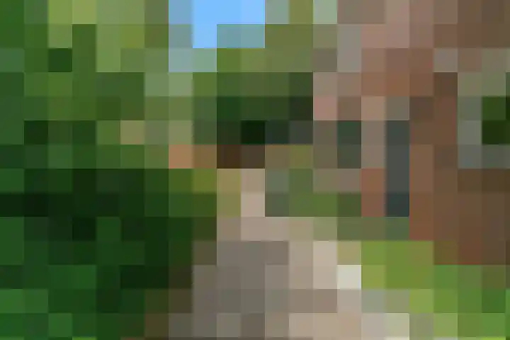 Barmsijs 23 Nieuwegein thumbnail 36
