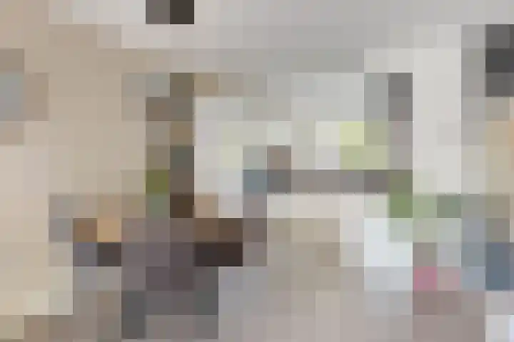 Barmsijs 23 Nieuwegein thumbnail 6