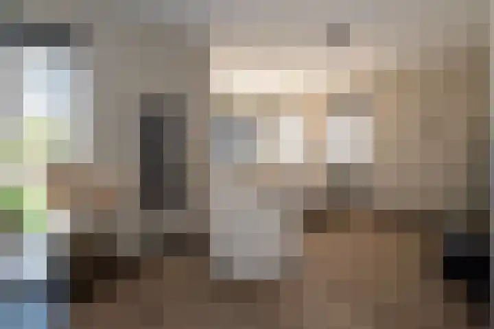 Barmsijs 25 Rijssen thumbnail 11