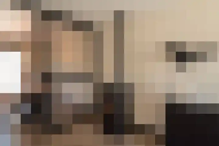 Barmsijs 25 Rijssen thumbnail 13