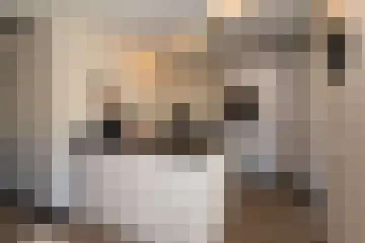 Barmsijs 25 Rijssen thumbnail 19
