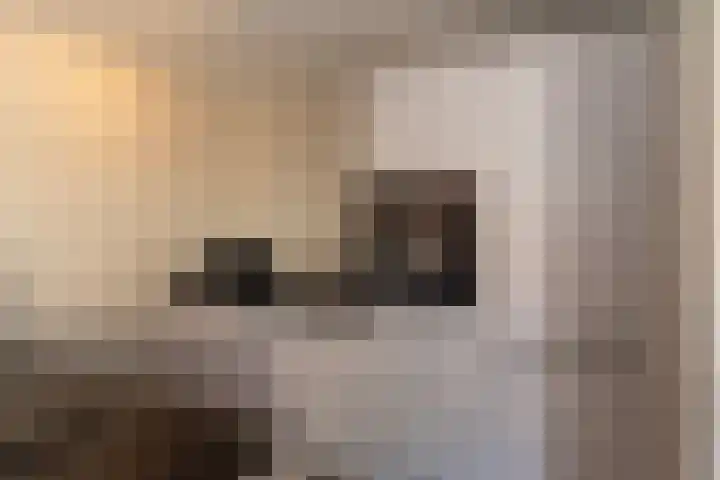 Barmsijs 25 Rijssen thumbnail 20