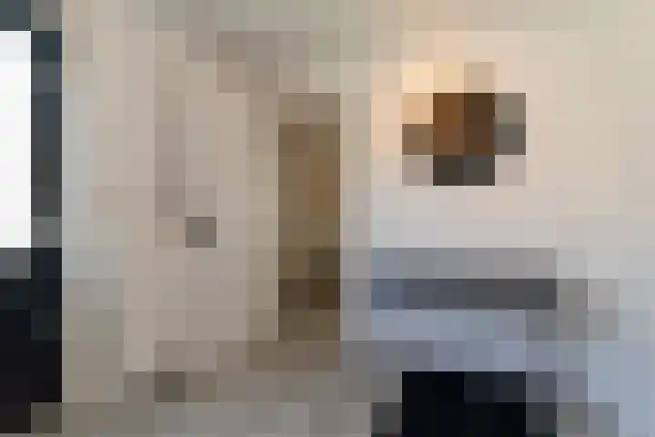 Barmsijs 25 Rijssen thumbnail 28