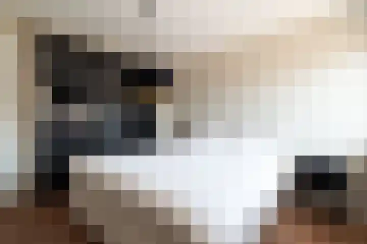 Barmsijs 25 Rijssen thumbnail 33