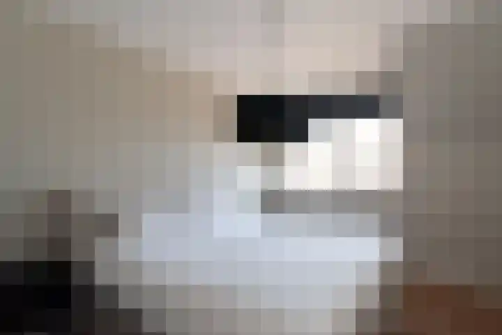 Barmsijs 25 Rijssen thumbnail 35