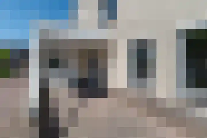 Barmsijs 25 Rijssen thumbnail 4