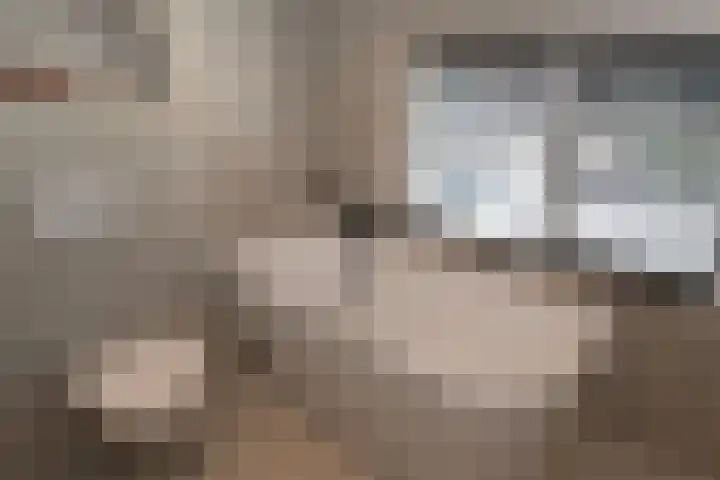 Barmsijs 25 Rijssen thumbnail 40