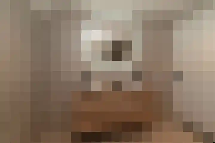 Barmsijs 25 Rijssen thumbnail 41