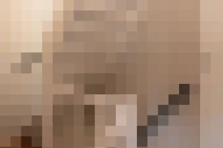 Barmsijs 25 Rijssen thumbnail 43
