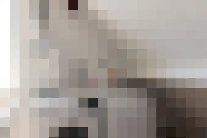 Barmsijs 25 Rijssen thumbnail 44