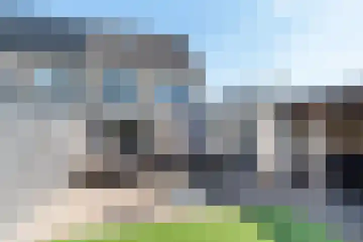 Barmsijs 25 Rijssen thumbnail 47