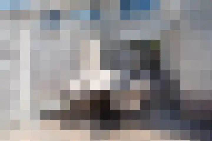 Barmsijs 25 Rijssen thumbnail 48