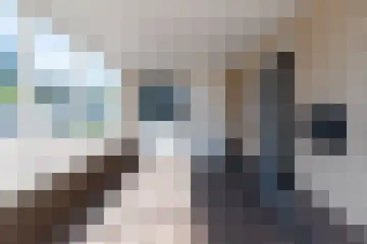 Barmsijs 25 Rijssen thumbnail 5