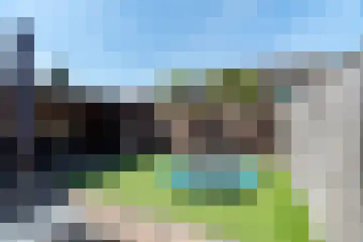 Barmsijs 25 Rijssen thumbnail 51