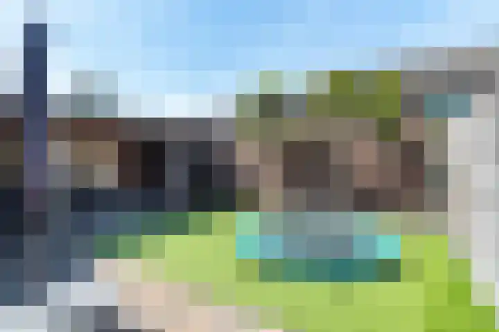 Barmsijs 25 Rijssen thumbnail 52