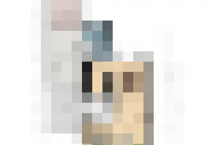 Barmsijs 25 Rijssen thumbnail 60