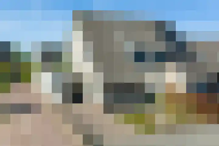 Barmsijs 25 Rijssen thumbnail 64