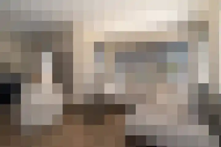 Barmsijs 25 Rijssen thumbnail 7
