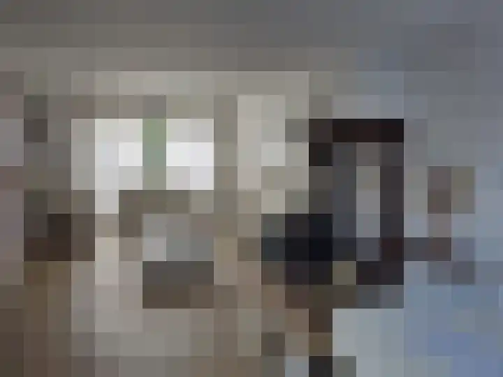 Barmsijs 35 Nieuwegein thumbnail 13