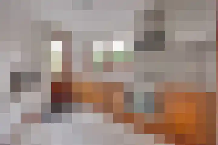 Barmsijs 35 Nieuwegein thumbnail 17