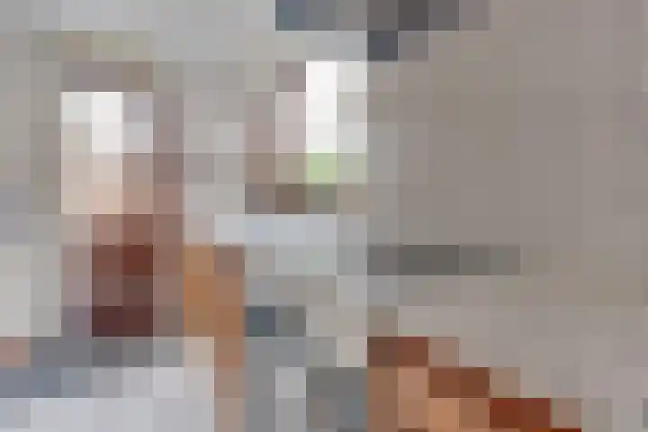 Barmsijs 35 Nieuwegein thumbnail 19