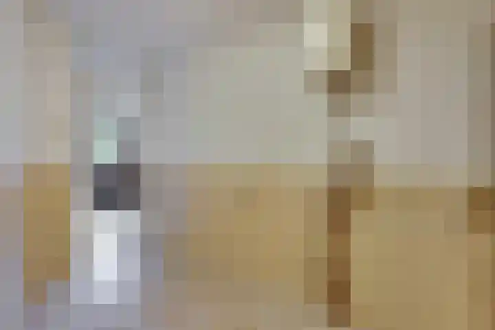 Barmsijs 35 Nieuwegein thumbnail 21