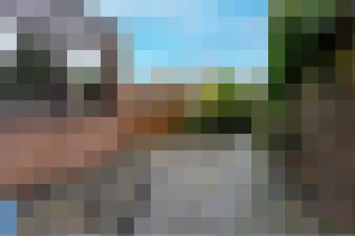 Barmsijs 35 Nieuwegein thumbnail 28