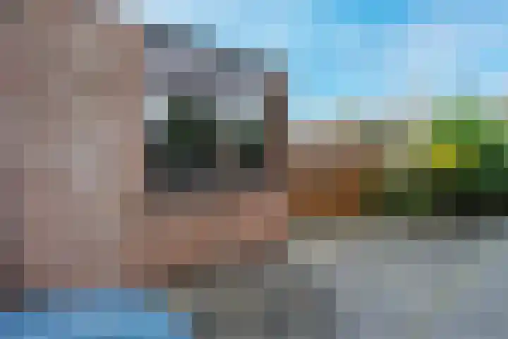 Barmsijs 35 Nieuwegein thumbnail 29