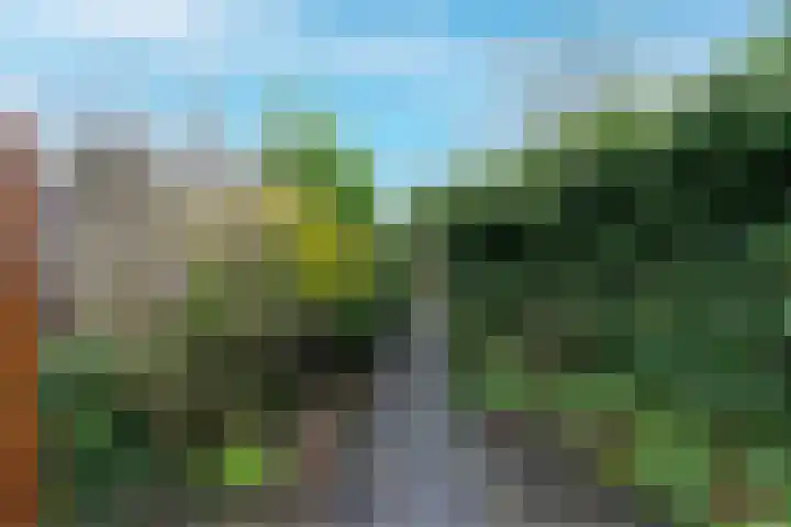 Barmsijs 35 Nieuwegein thumbnail 30