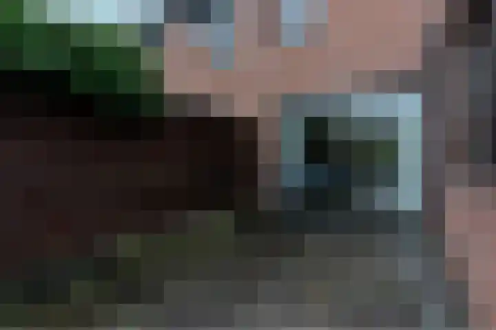 Barmsijs 35 Nieuwegein thumbnail 32