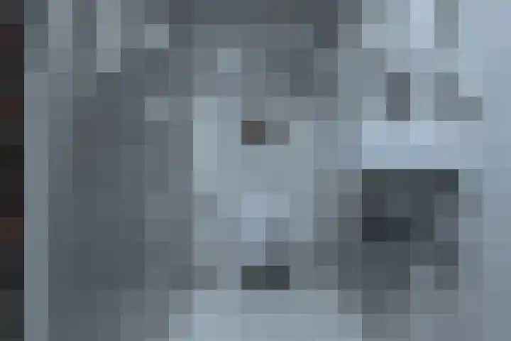 Barmsijs 35 Nieuwegein thumbnail 33