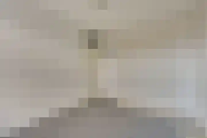 Barmsijs 35 Nieuwegein thumbnail 38