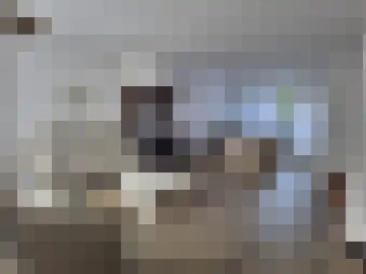Barmsijs 35 Nieuwegein thumbnail 4
