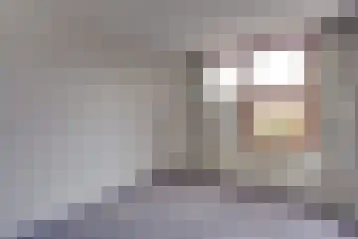 Barmsijs 35 Nieuwegein thumbnail 42