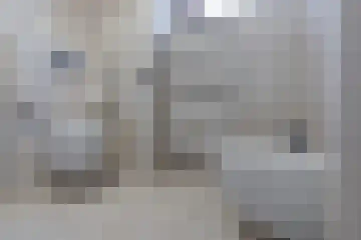 Barmsijs 35 Nieuwegein thumbnail 52